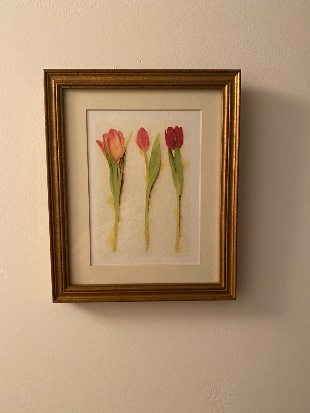 Framed Tulip Watercolor Art Print in Gold Frame - Pink & Red